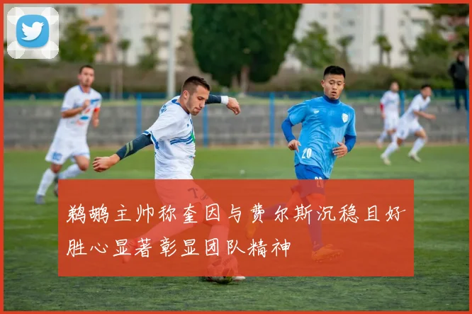 鹈鹕主帅称奎因与费尔斯沉稳且好胜心显著彰显团队精神