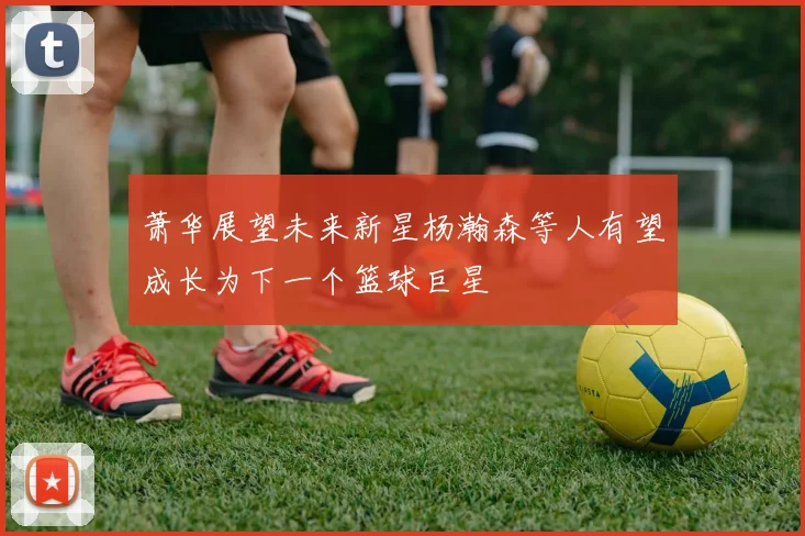 萧华展望未来新星杨瀚森等人有望成长为下一个篮球巨星