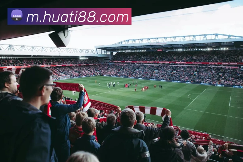 华体会体育APP 封面图